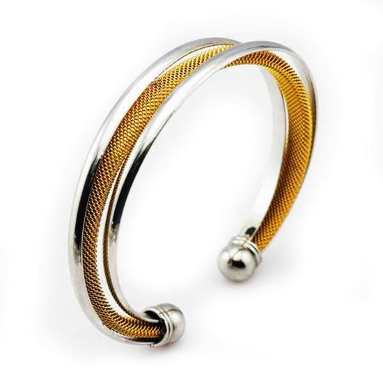 Picture of Women Bangle Stainless Steel Two Gold Tone 