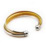 Picture of Women Bangle Stainless Steel Two Gold Tone 