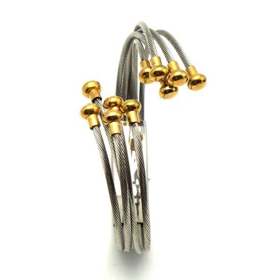 Picture of Cable Bangle Bracelet Stainless Steel IP Plating 