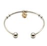 Picture of Charm Bangle Stainless Steel Polished