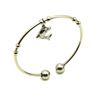Picture of Charm Dolphin Bangle Stainless Steel 