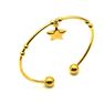 Picture of Charm Star Bangle Stainless Steel Plating