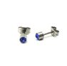 Picture of Stud Earrings Stainless Steel Blue Crystal