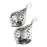 Picture of Raindrop Earrings Stainless Steel Polished