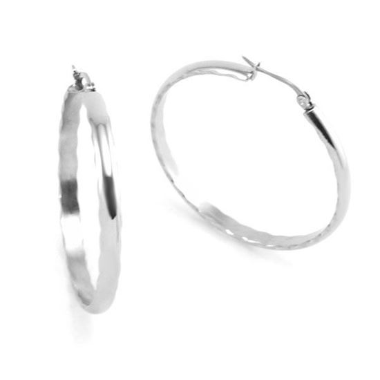 Picture of Hoop Earrings Stainless Steel High Polished