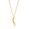 Picture of Italian Horn Cornicello Necklace Stainless Steel