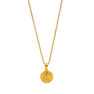 Picture of Coin Necklace Gold Plating Stainless Steel